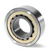 RSL185014 INA Cylindrical Roller Bearing