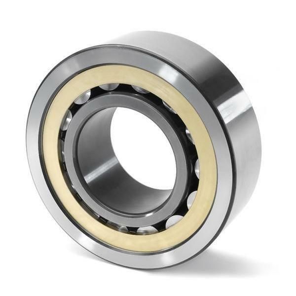 RSL185014 INA Cylindrical Roller Bearing #1 image